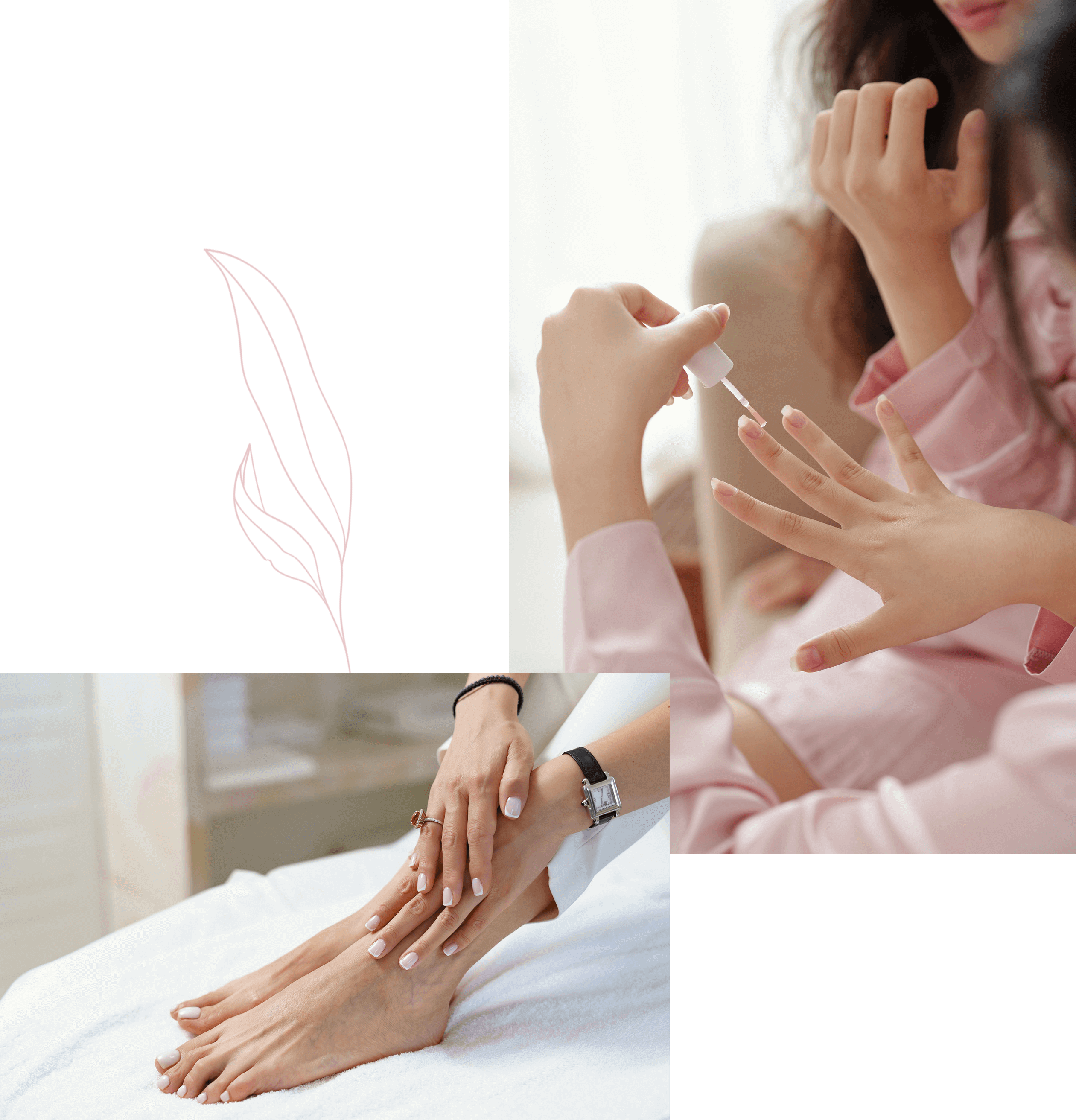 PORTADA_JANINAILS_1